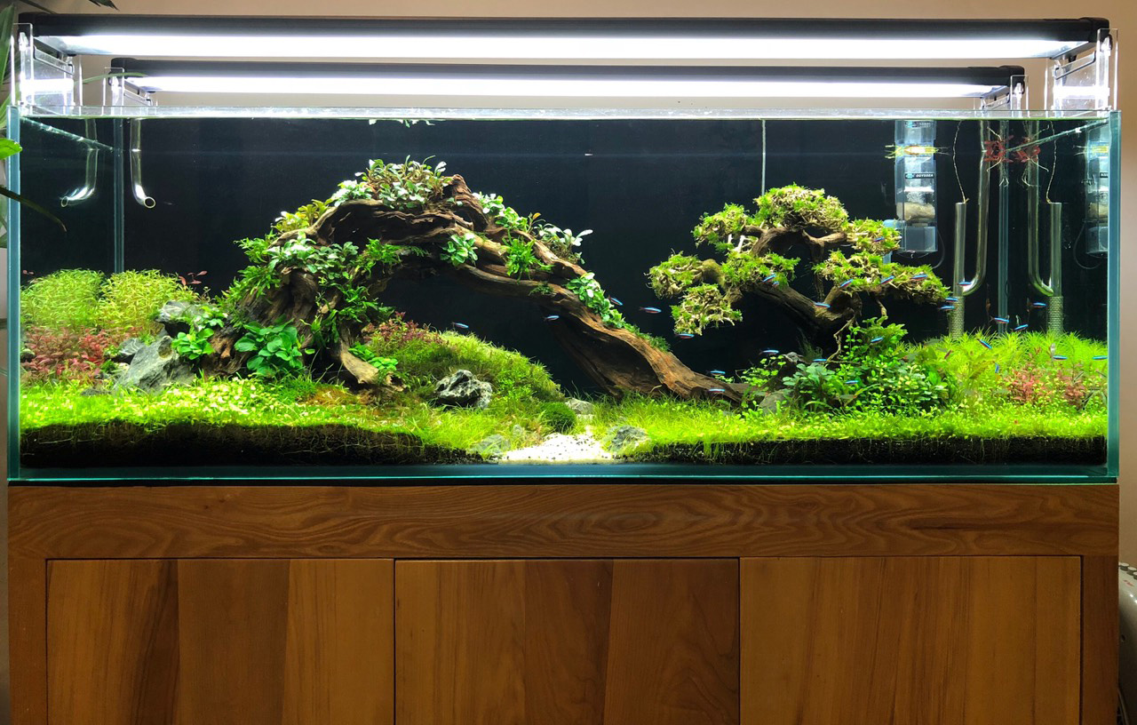 Kiến trúc chung cư: Nguyên tắc, quy trình và ý tưởng thiết kế đẹp