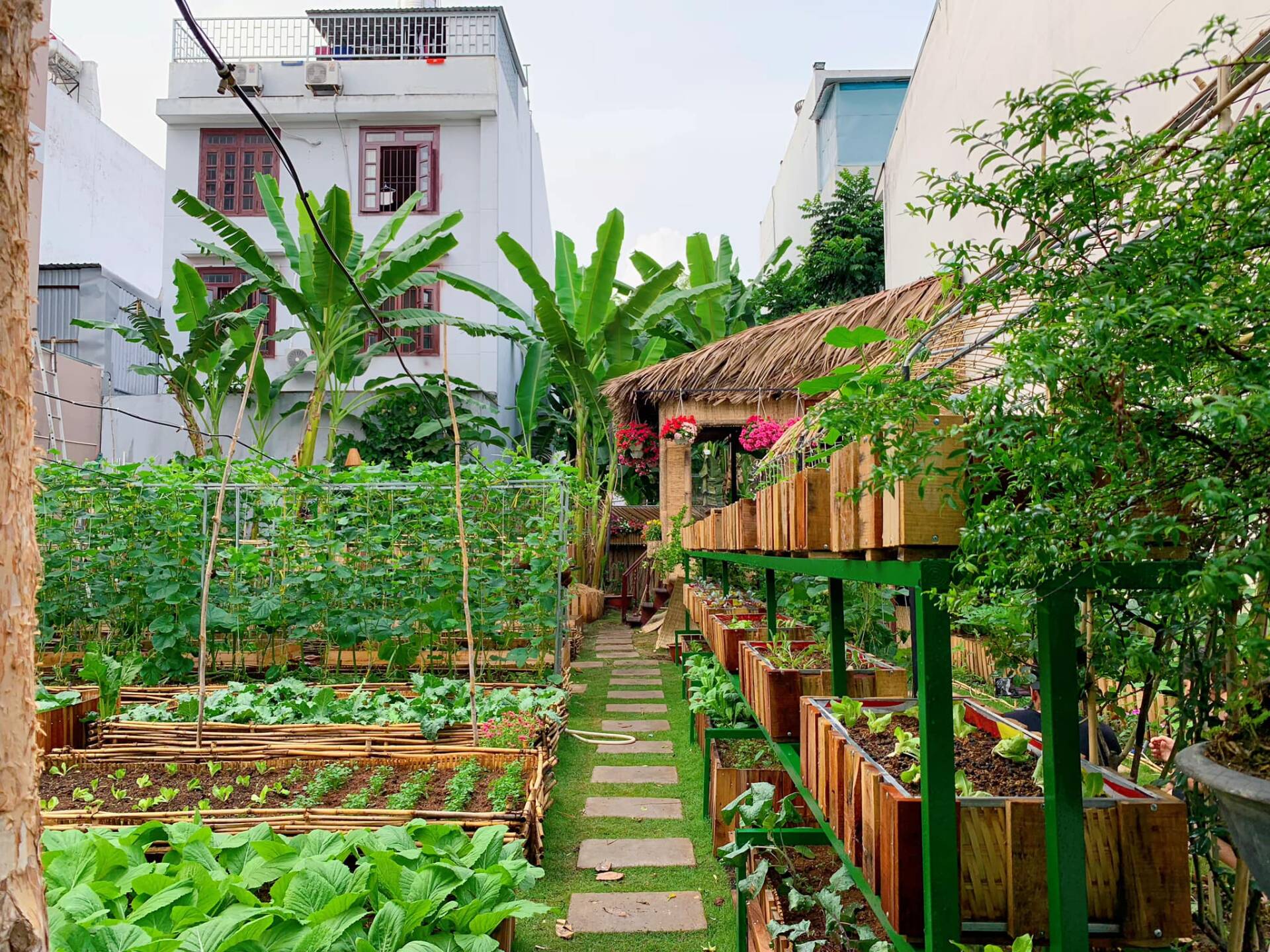 30 gợi ý vườn rau trồng tại nhà, từ căn hộ đến nhà phố dễ dàng áp dụng